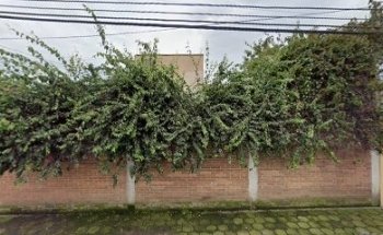 Consultorio Veterinario VMT