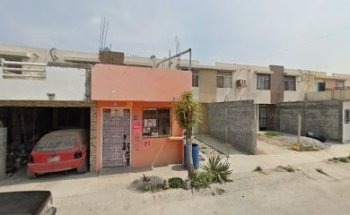 consultorio veterinario koda