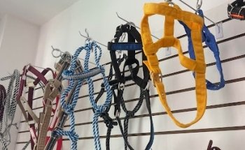 Animal Health Veterinaria