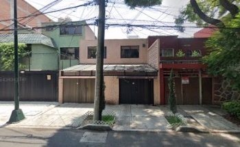 Moshe Bulls del valle