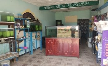 Veterinaria Perla negra