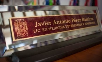 Clínica Veterinaria Japervet Villahermosa