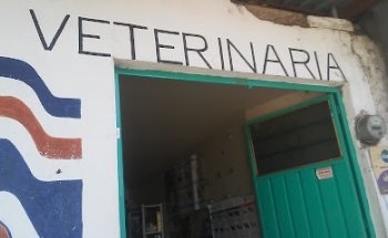 VETERINARIA LUZ Y ANGEL