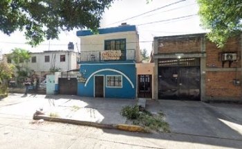 Sheriff Dog Adiestramiento Canino