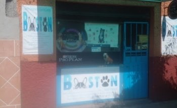 Centro veterinario y estetica canina boston