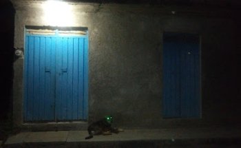 Veterinario Virgilio