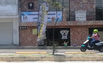 Centro de Atencion Veterinaria YGA Suc. Valsequillo