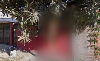 Atención Médico Quirúrgica Veterinaria