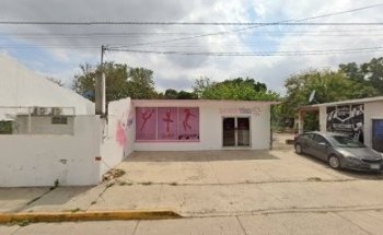 minerales y suplementos