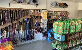 Pet Land Veterinaria