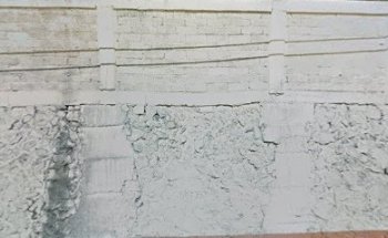 Estética Canina JuchitePets