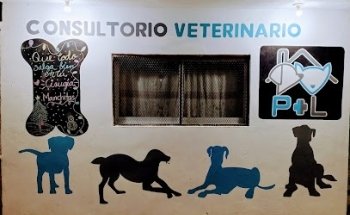 Consultorio veterinario P+L
