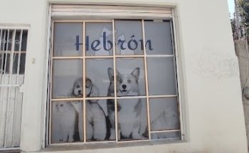 Clínica Veterinaria Hebrón