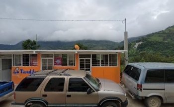 Veterinaria Hakuna Matata La Misión