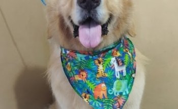 Clínica y Estética Veterinaria PEEK