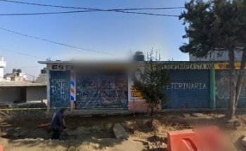 Veterinaria santa Ana