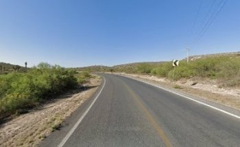 veterinaria flor de durazno