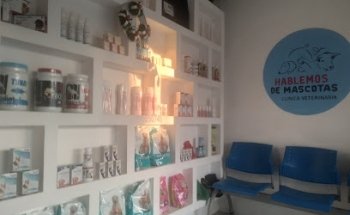 Hablemos de mascotas