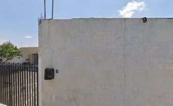 SERVICIOS VETERINARIOS REYES