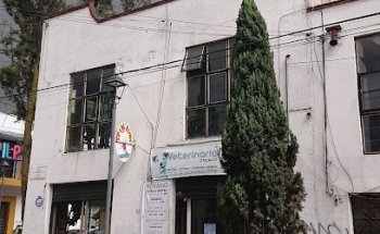 Veterinaria Iztacalco