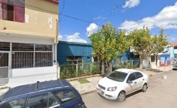 Estética canina y veterinaria