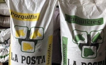 Servicios Veterinarios Del Norte Mtv