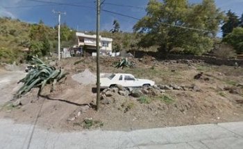 Veterinaria del Jasmin de bambatevi