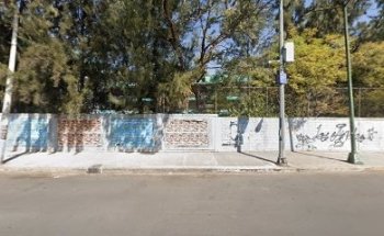 Los 10 Perritos mas Bonitos