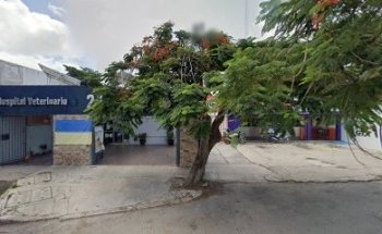 Operadora Veterinaria