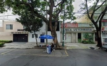Venta de Gelipet en Veterinaria Moras