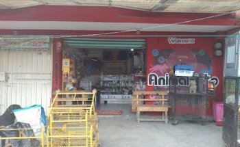 Veterinario animalito