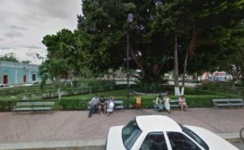 clinica veterinaria para dog