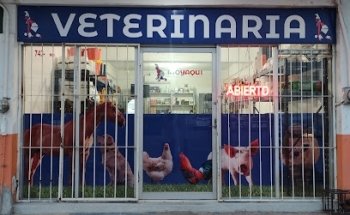 Veterinaria RÍO YAQUI
