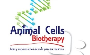 Animal Cells Biotherapy Mérida