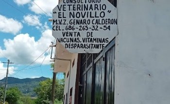 Consultorio Veterinario El Novillo