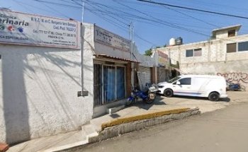 Veterinaria Benjamín Vera