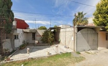 Veterinaria huellas y huesos