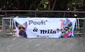 Peek' & Miis
