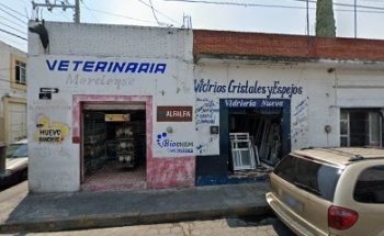 Veterinaria Morelense