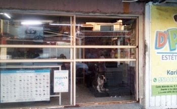 Estética veterinaria y pensión