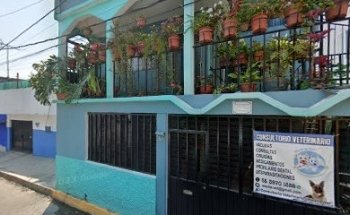 Consultorio Veterinario “Westie Vet”