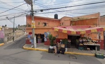 Estetica canina dogs and cats