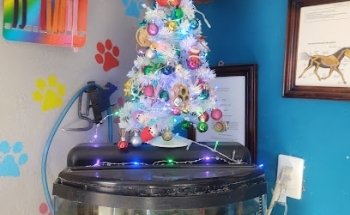 Servicio Médico Veterinario 