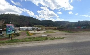 Venta de semen porcino