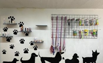 hotel & spa canino lovepets