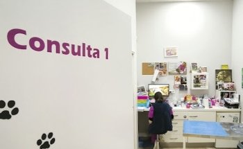 Clínica Veterinaria en Sevilla Este Estivet