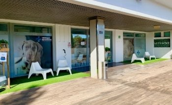 VETPOINT SOTOGRANDE CLINICA VETERINARIA