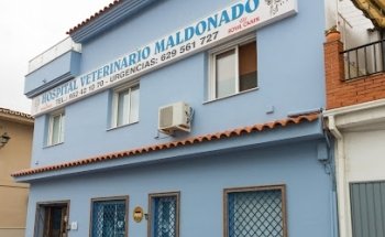 Hospital Veterinario Maldonado