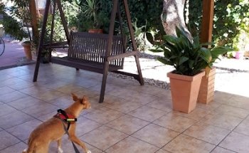 Cabopalos Veterinary Clinic