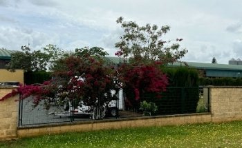 Hospital Equino Aznalcollar